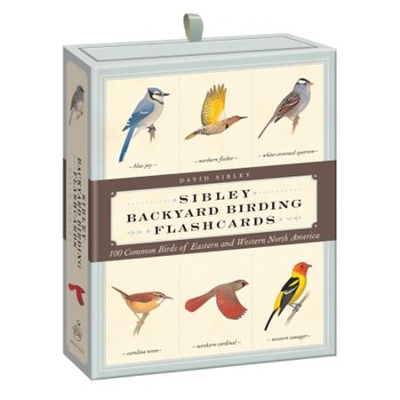 RANDOM HOUSE Random House RH0307888975 Sibley Backyard Birding Flashcards RH0307888975
